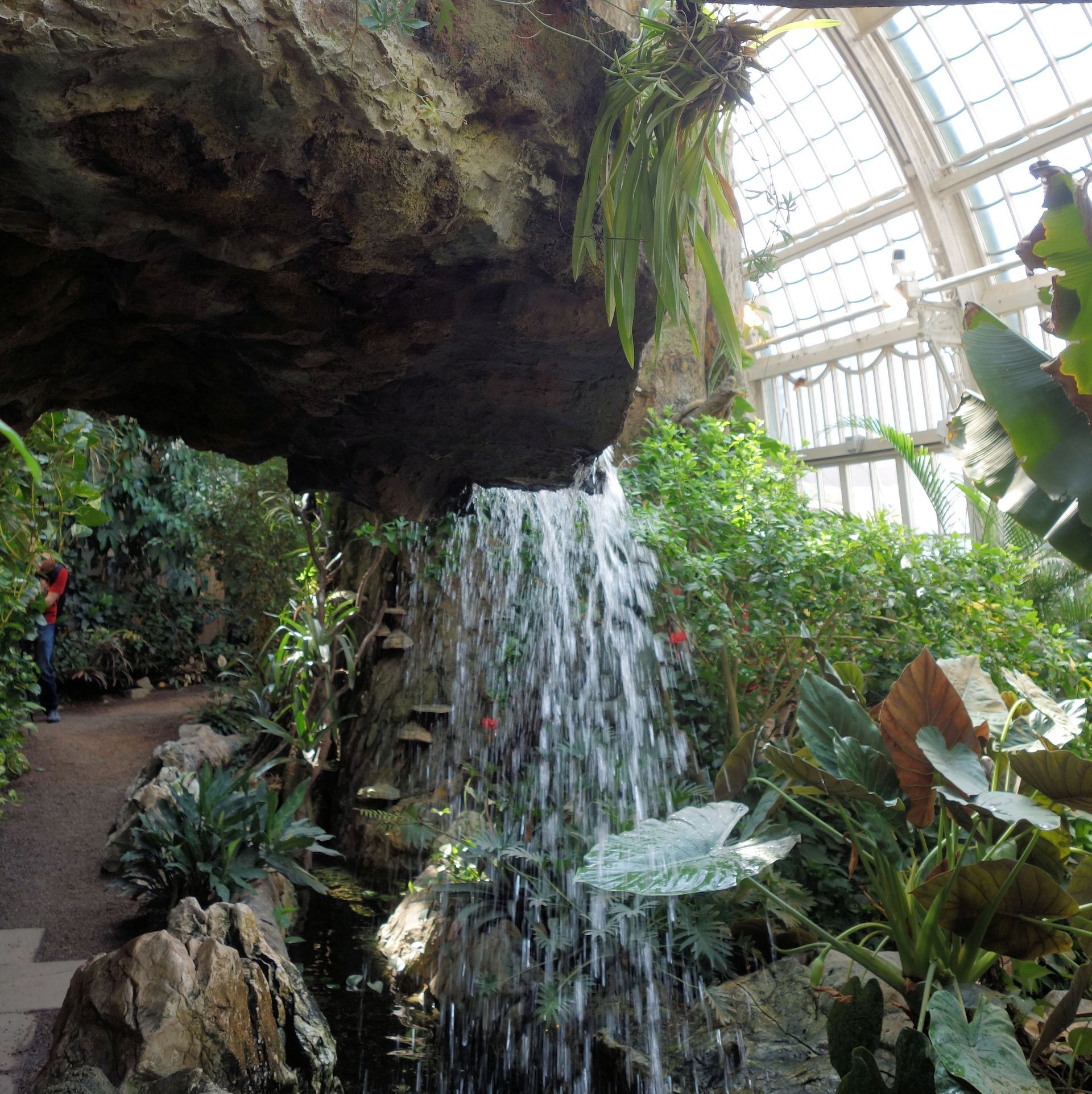 Wasserfall im Inneren des Palmenhauses